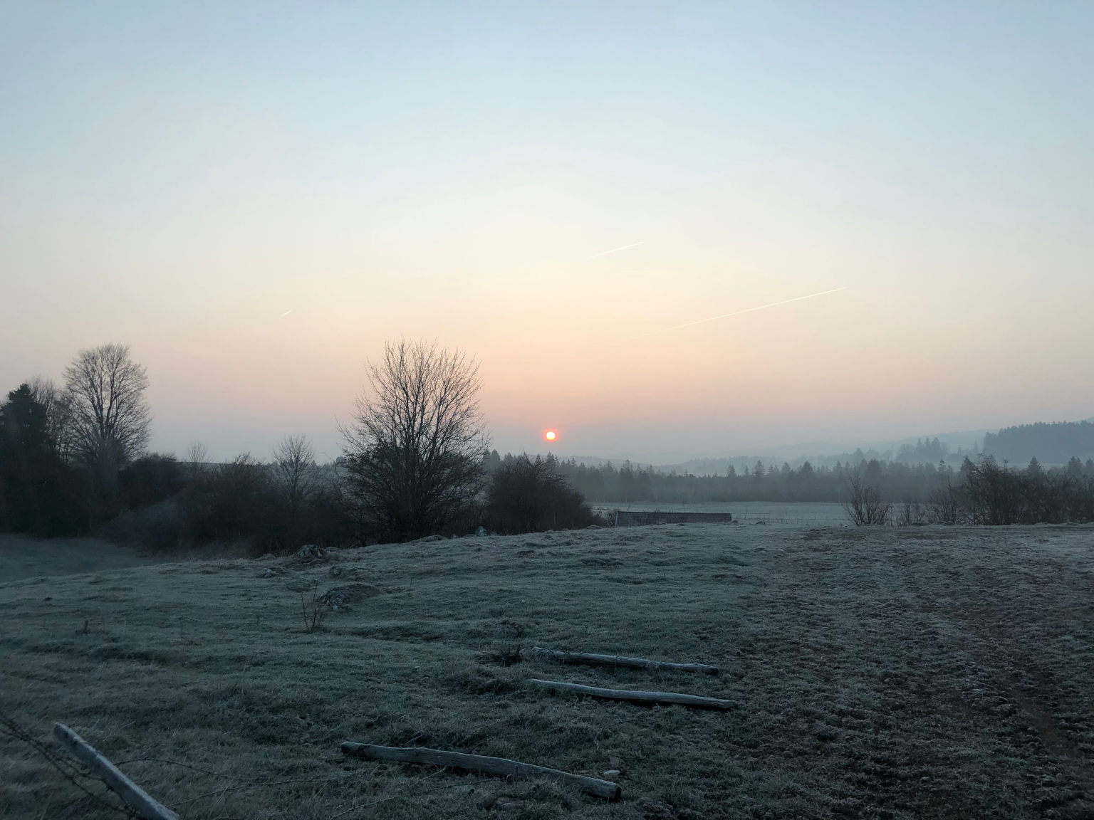 Un matin d'hiver
