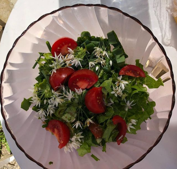 Table d'hôte salade